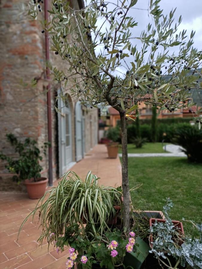 Bed and Breakfast Casale1918 à Pietrasanta Extérieur photo